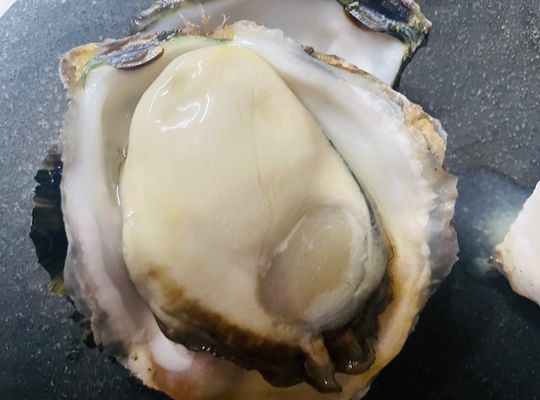 牡蠣