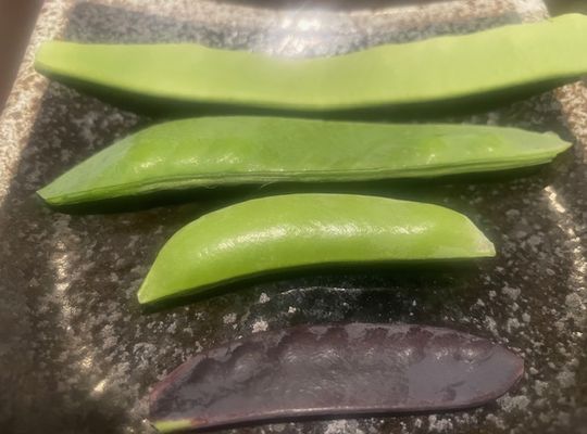 野菜
