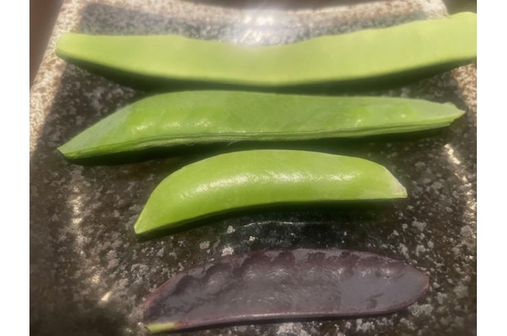野菜