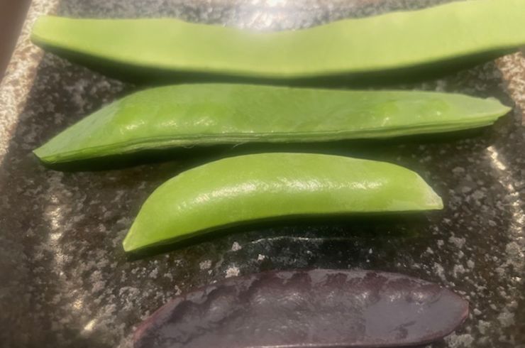 野菜