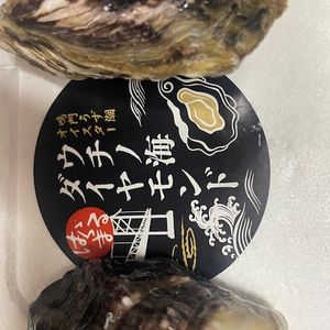 牡蠣