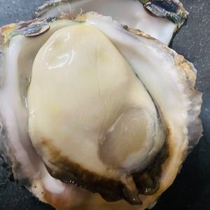 牡蠣