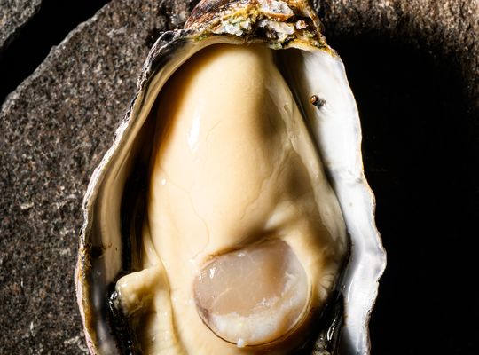牡蠣