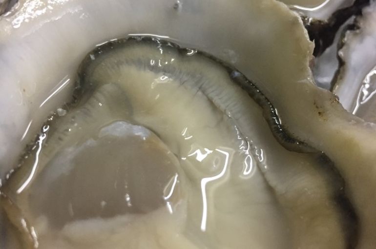 牡蠣料理