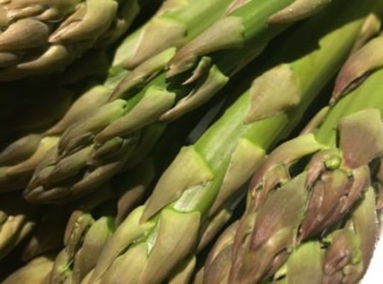 野菜