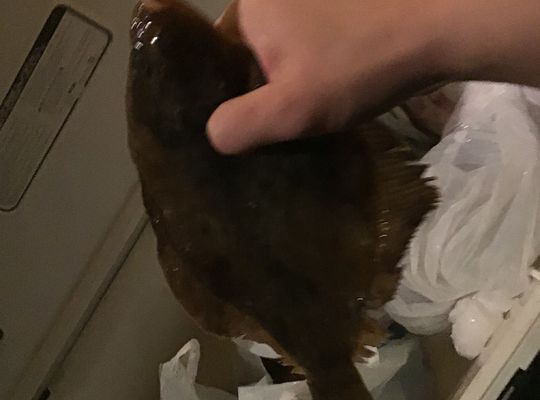 厚田の佐藤水産